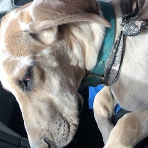 Meet your Posher, Cassy